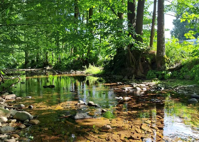 Petra * Dolní Morava