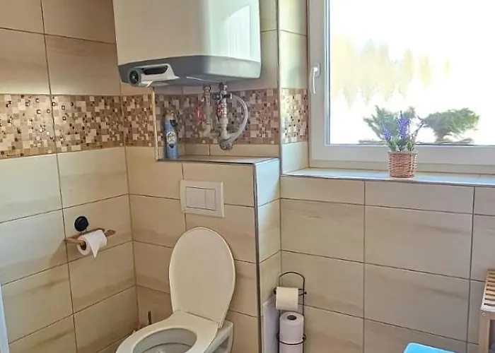 Petra * Dolní Morava